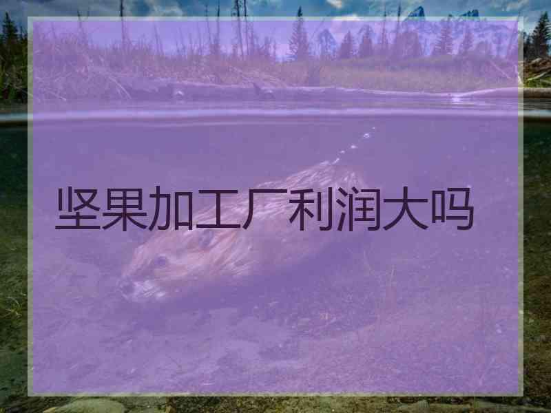坚果加工厂利润大吗