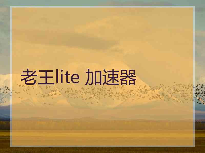 老王lite 加速器