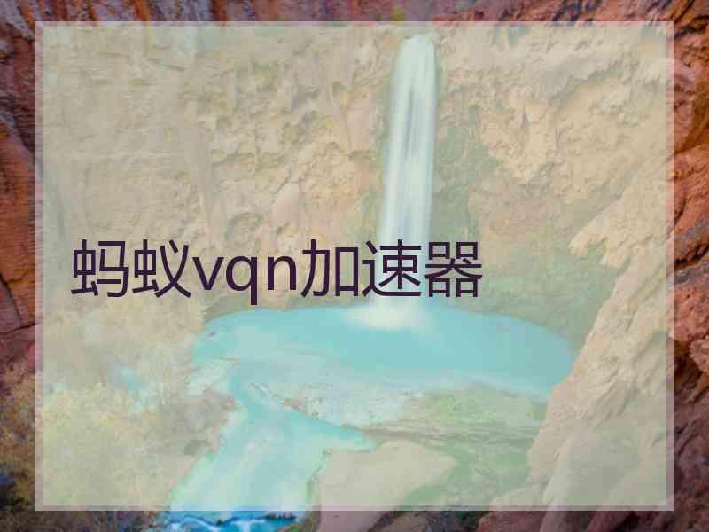 蚂蚁vqn加速器