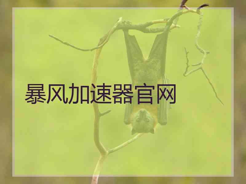 暴风加速器官网