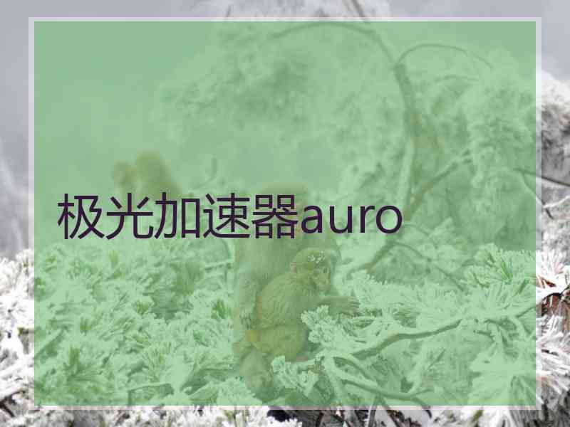 极光加速器auro