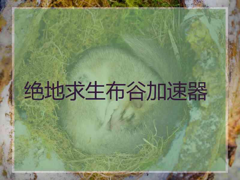 绝地求生布谷加速器