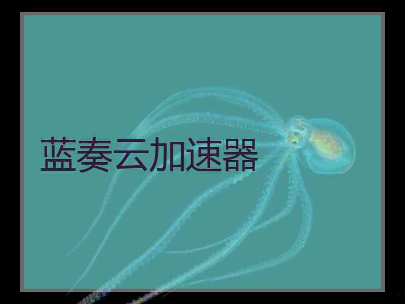 蓝奏云加速器