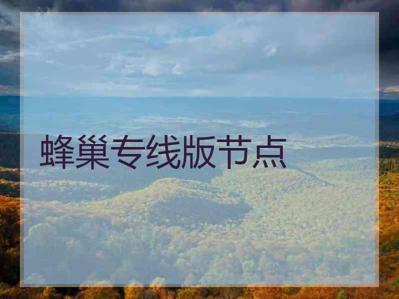 蜂巢专线版节点