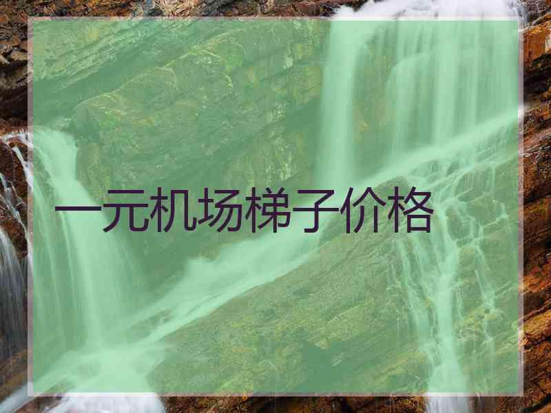 一元机场梯子价格