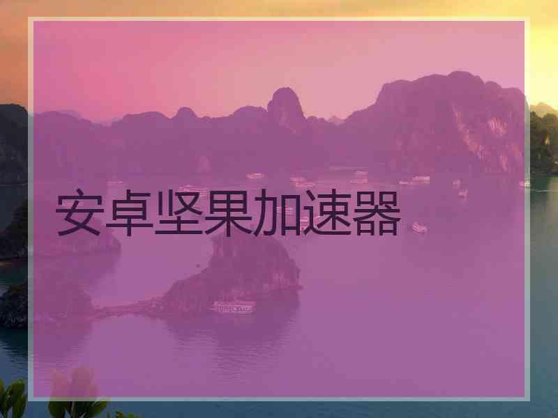 安卓坚果加速器