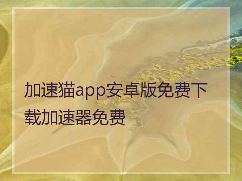 加速猫app安卓版免费下载加速器免费