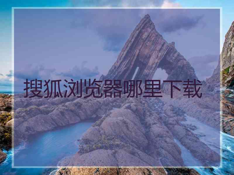 搜狐浏览器哪里下载