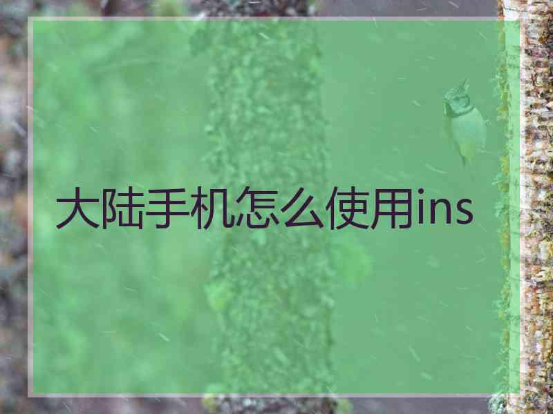 大陆手机怎么使用ins
