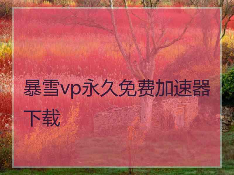 暴雪vp永久免费加速器下载