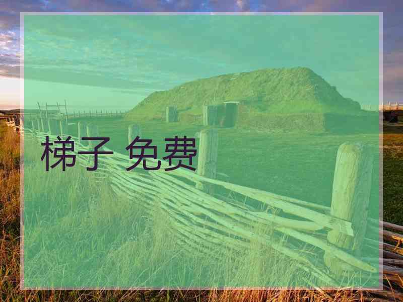 梯子 免费