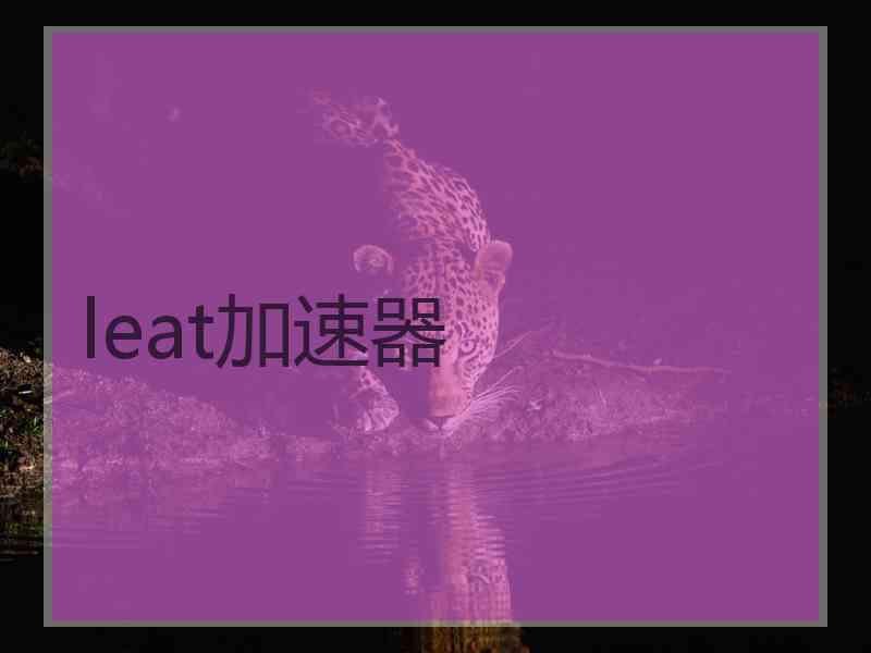 leat加速器