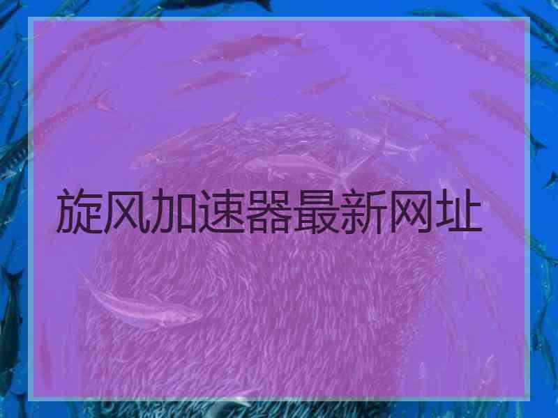 旋风加速器最新网址