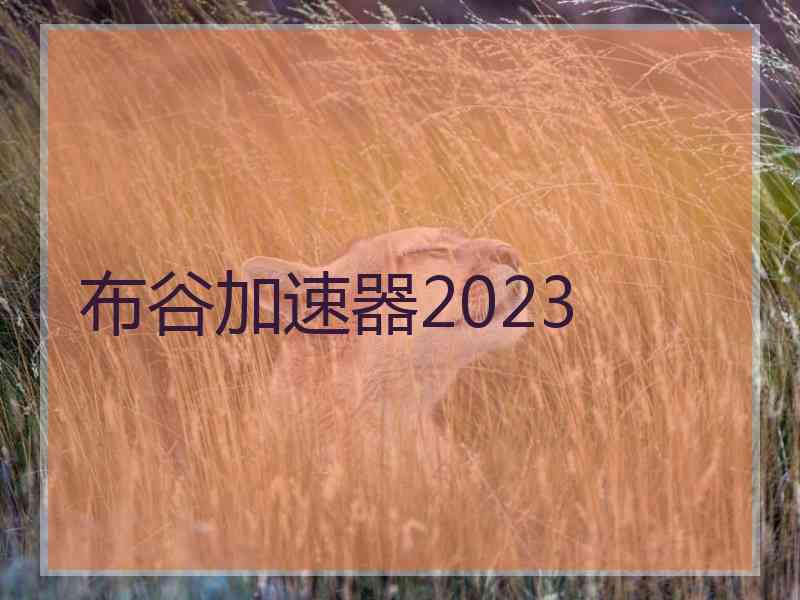 布谷加速器2023