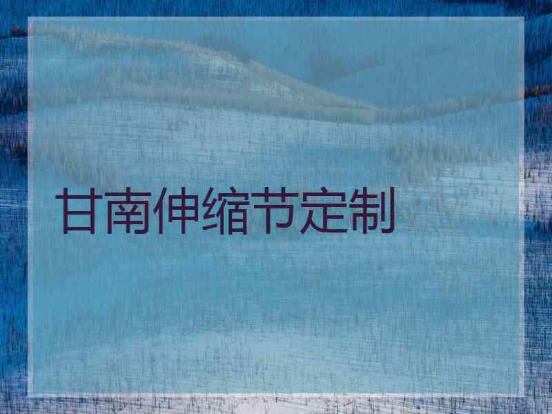 甘南伸缩节定制