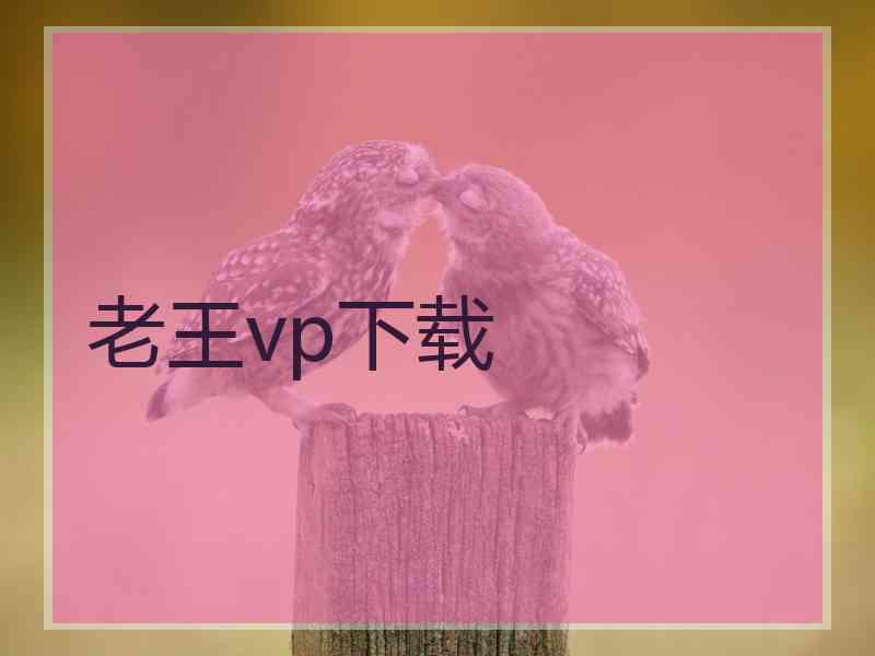 老王vp下载