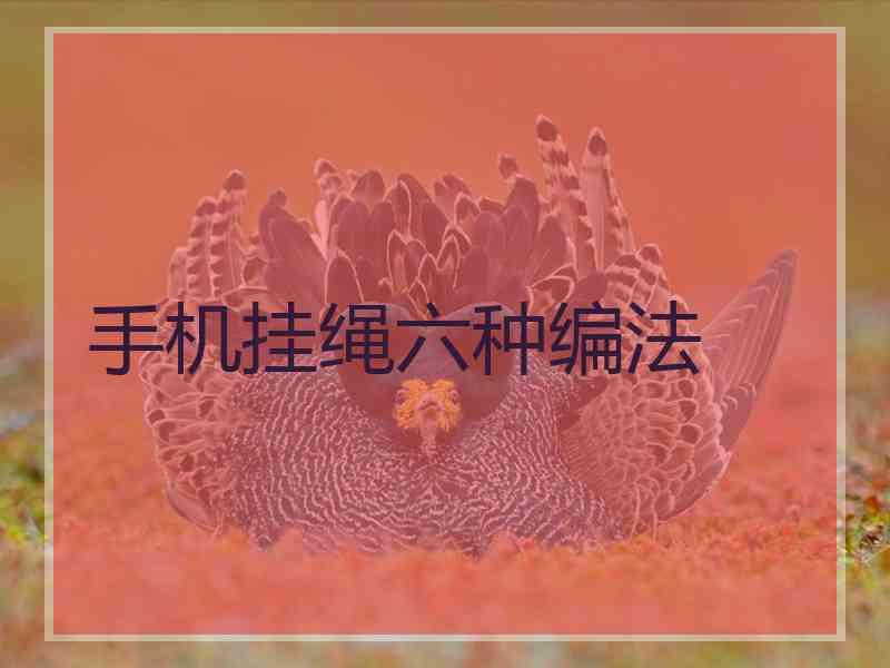 手机挂绳六种编法