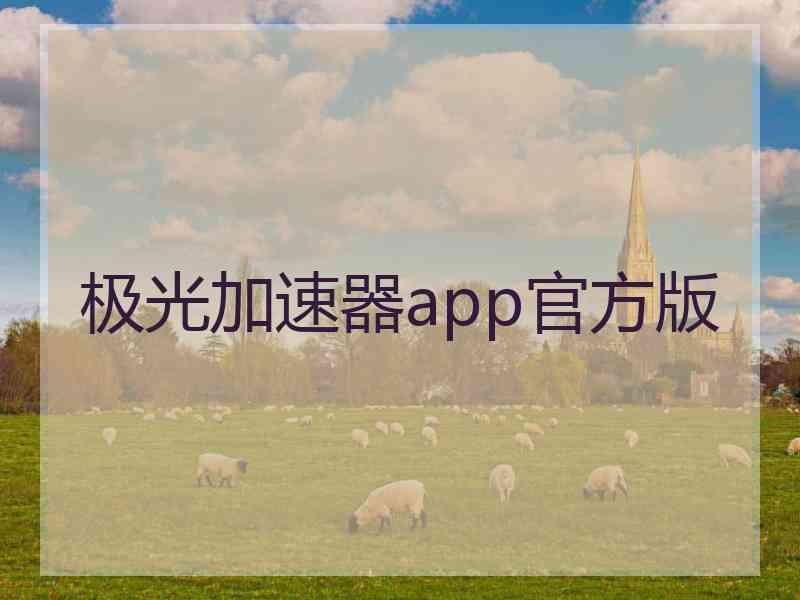 极光加速器app官方版