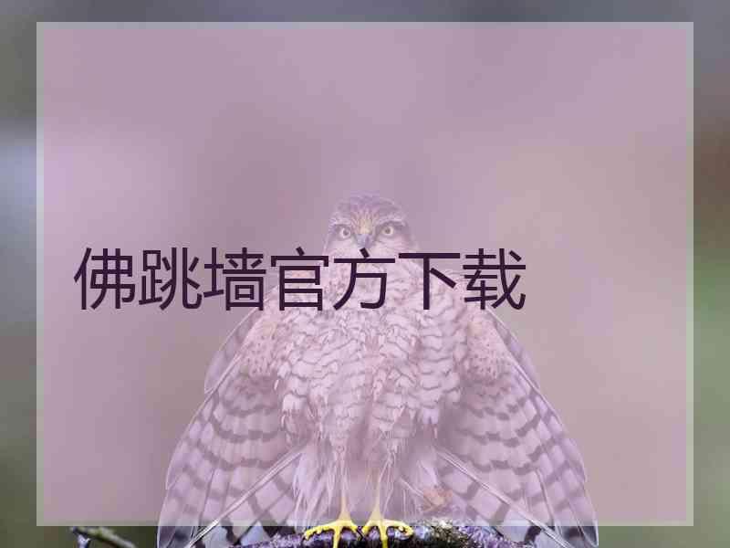 佛跳墙官方下载