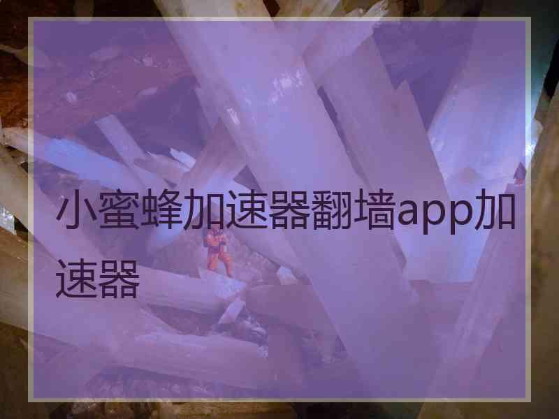 小蜜蜂加速器翻墙app加速器