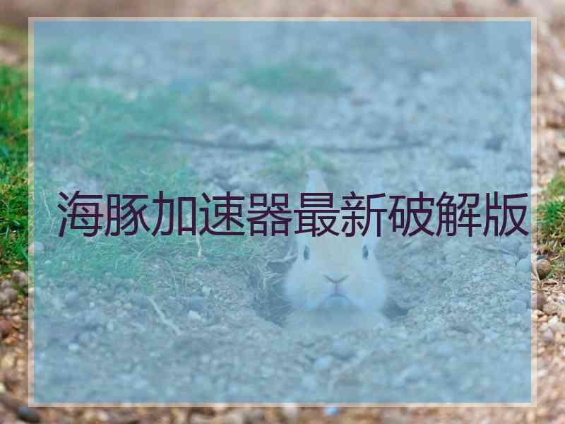 海豚加速器最新破解版