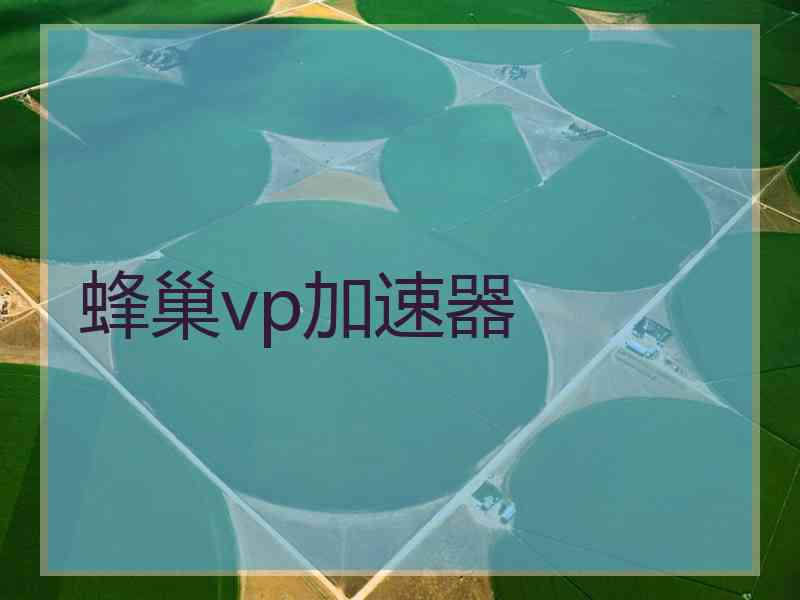 蜂巢vp加速器
