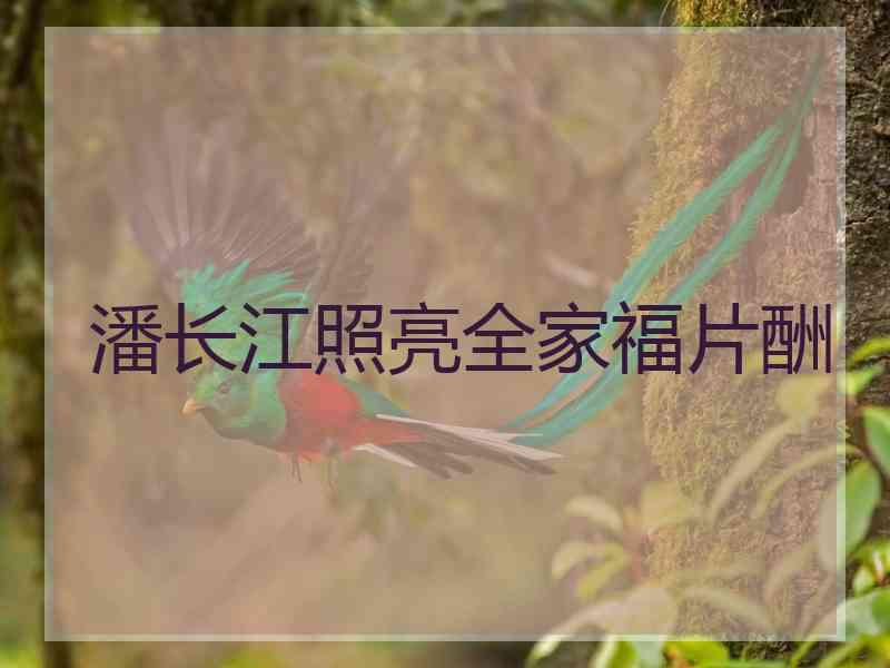 潘长江照亮全家福片酬