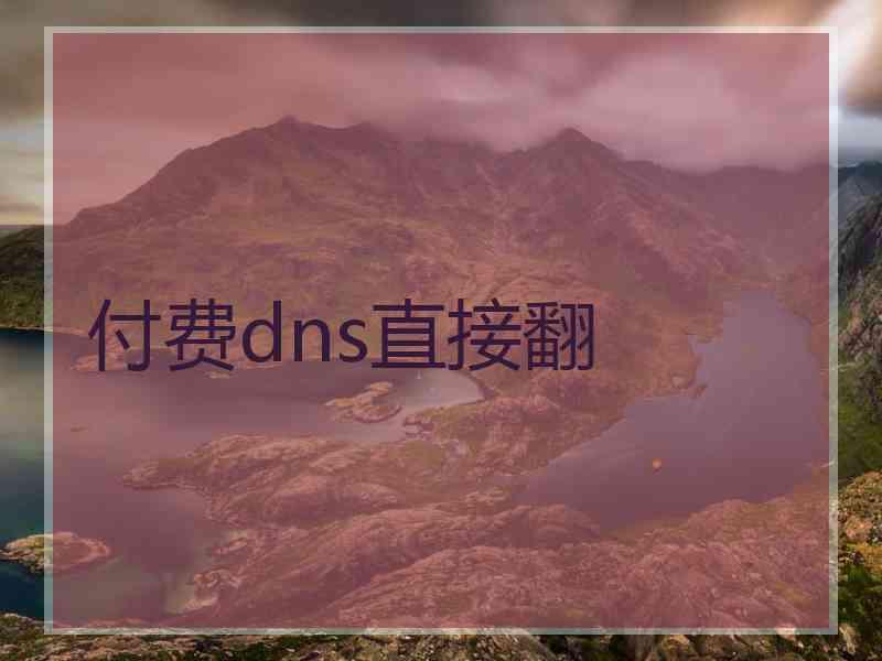 付费dns直接翻