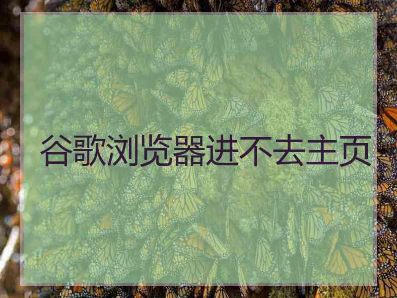 谷歌浏览器进不去主页