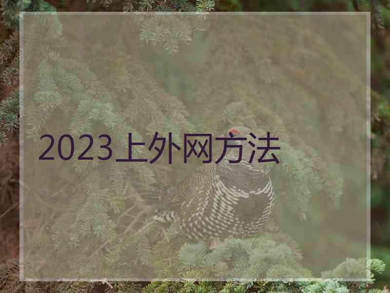 2023上外网方法