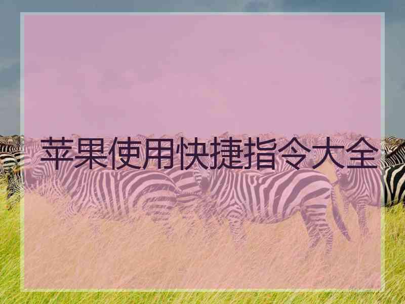 苹果使用快捷指令大全
