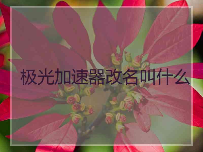 极光加速器改名叫什么