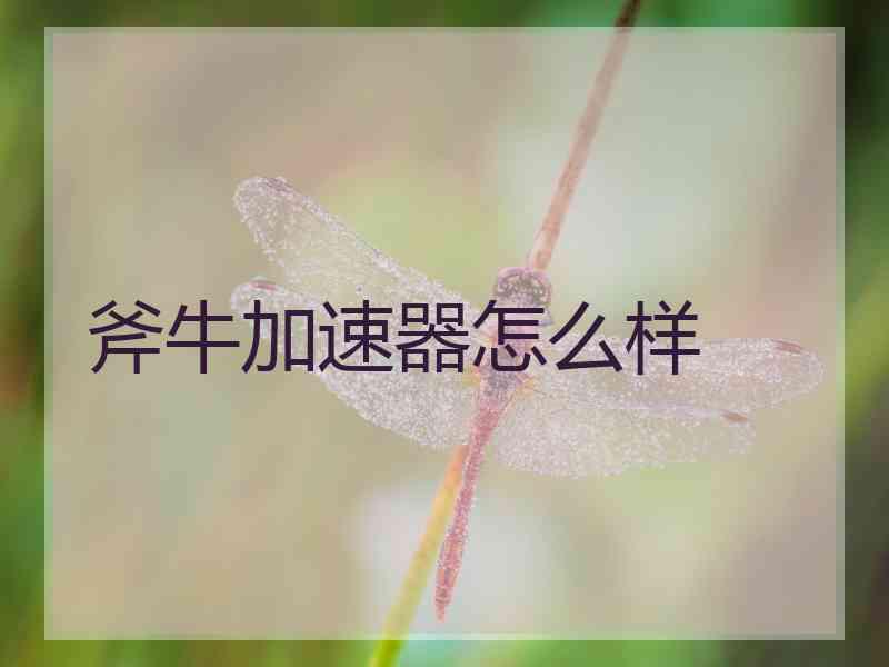 斧牛加速器怎么样