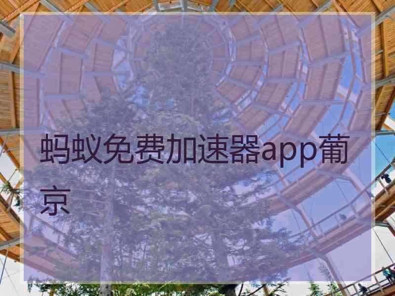 蚂蚁免费加速器app葡京