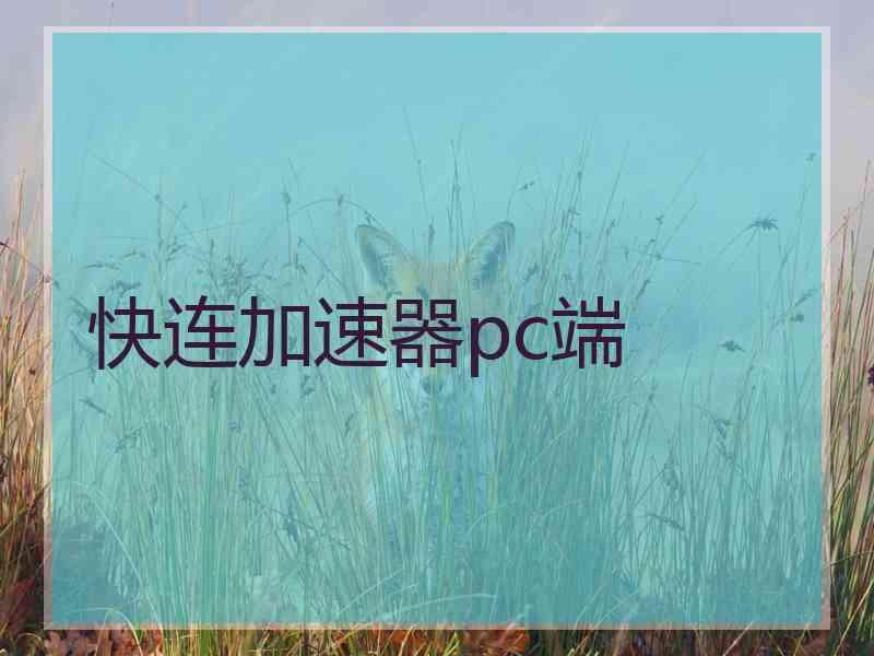 快连加速器pc端