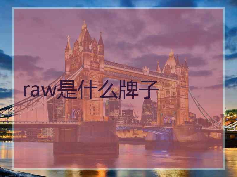 raw是什么牌子