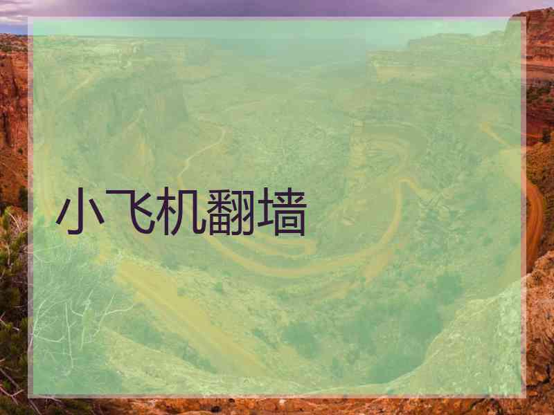 小飞机翻墙