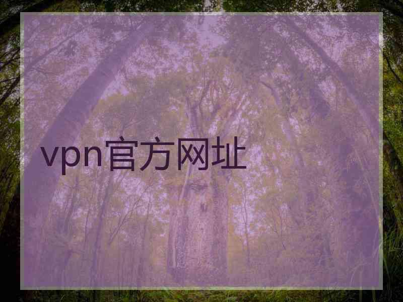 vpn官方网址