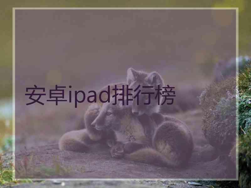 安卓ipad排行榜