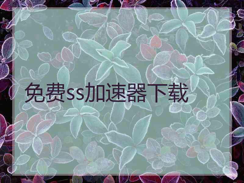 免费ss加速器下载