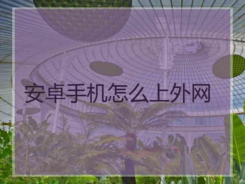 安卓手机怎么上外网