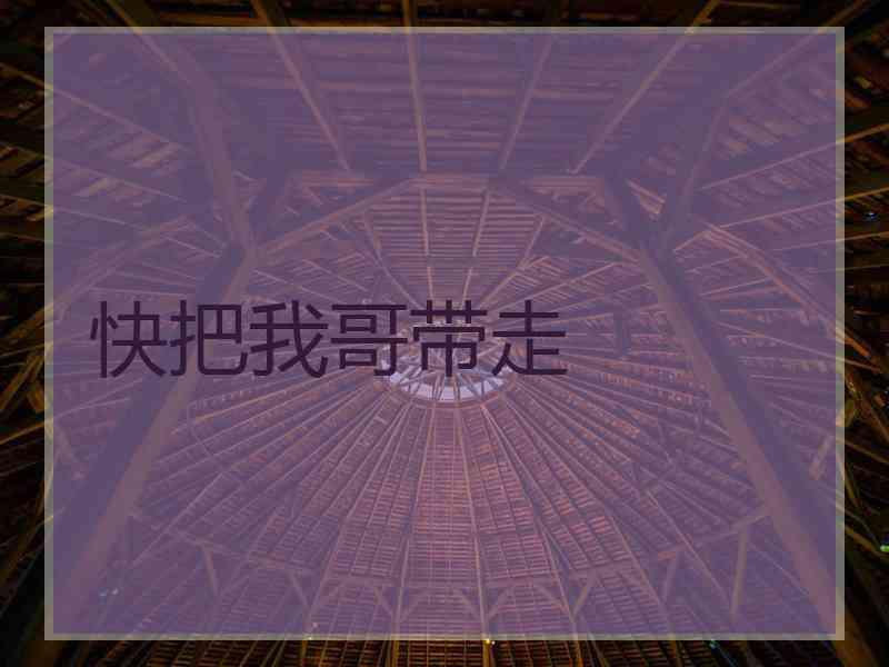 快把我哥带走