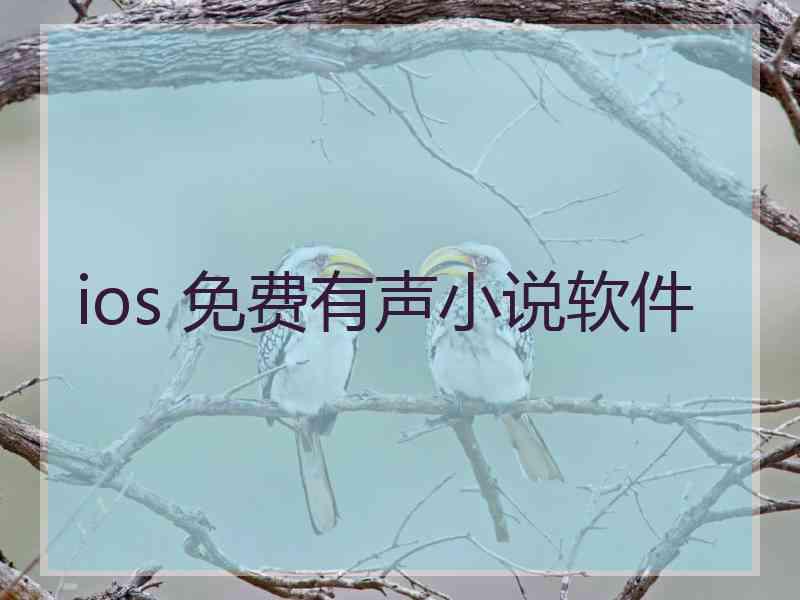 ios 免费有声小说软件