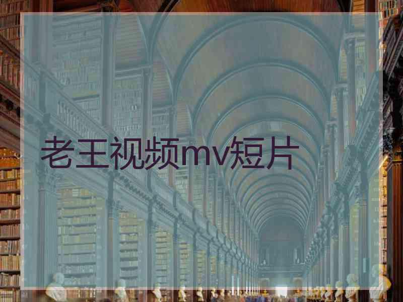 老王视频mv短片