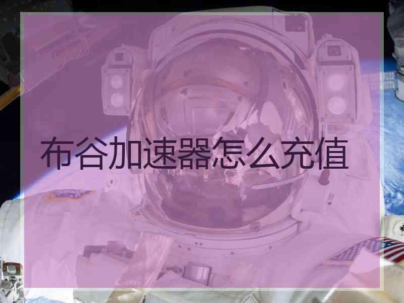 布谷加速器怎么充值