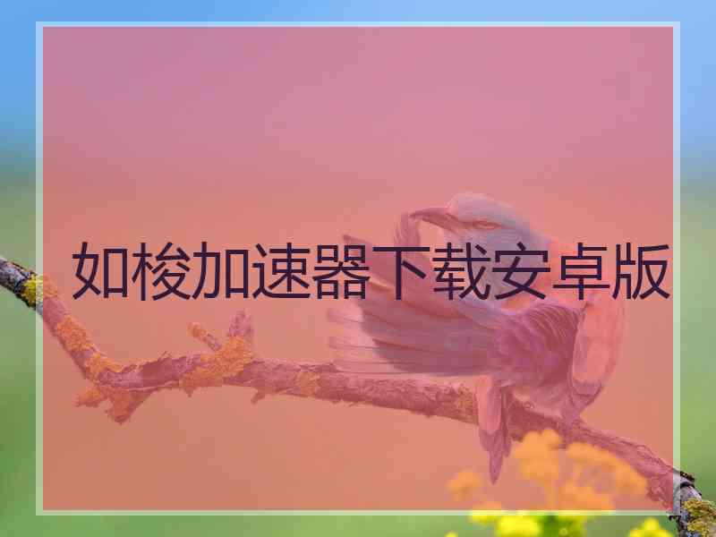 如梭加速器下载安卓版