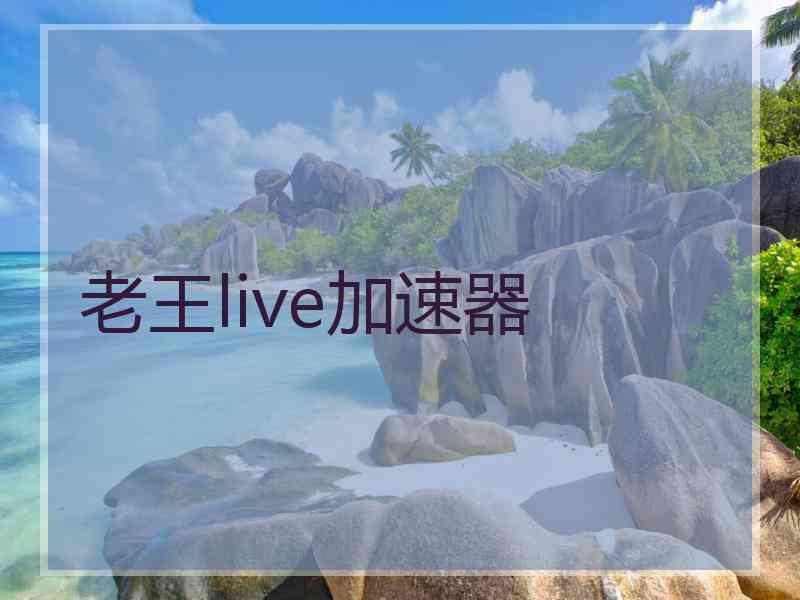 老王live加速器