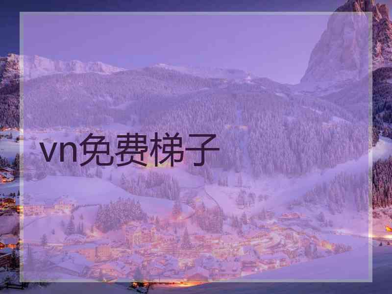 vn免费梯子