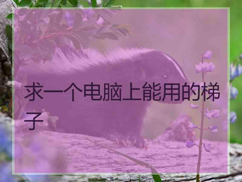 求一个电脑上能用的梯子