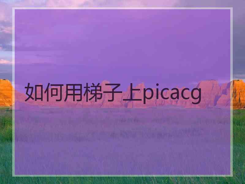 如何用梯子上picacg
